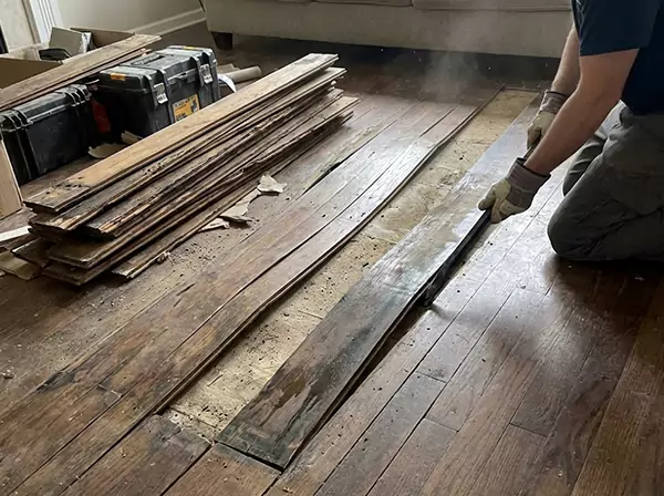 Water Damage Drying in Dacula