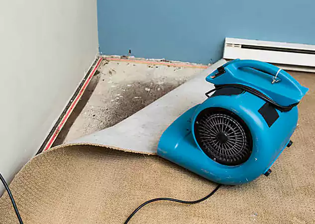 Your Water Damage Experts in Dacula, GA