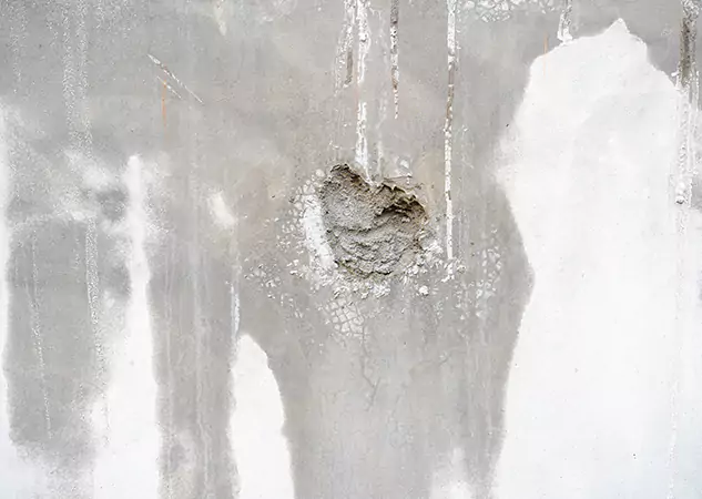 Your Mold Mitigation Solutions Partner in Dacula, GA