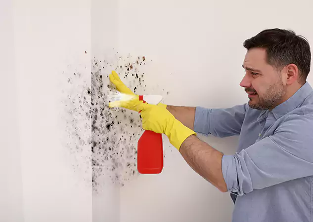 Your Water Mold Fire Restoration Partner in Dacula, GA