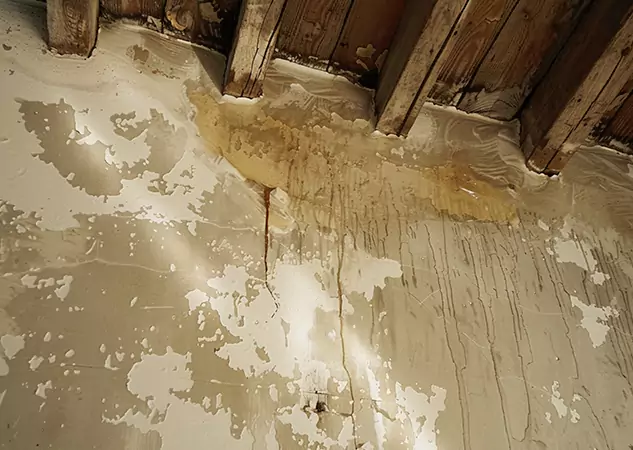 Your Trusted Restoration Company in Dacula, GA