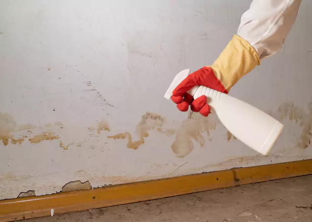 Your Water Restoration and Mold Remediation Specialists in Dacula, GA