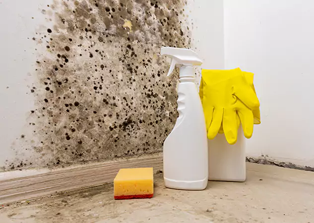 Your Reliable Restoration Company in Dacula, GA