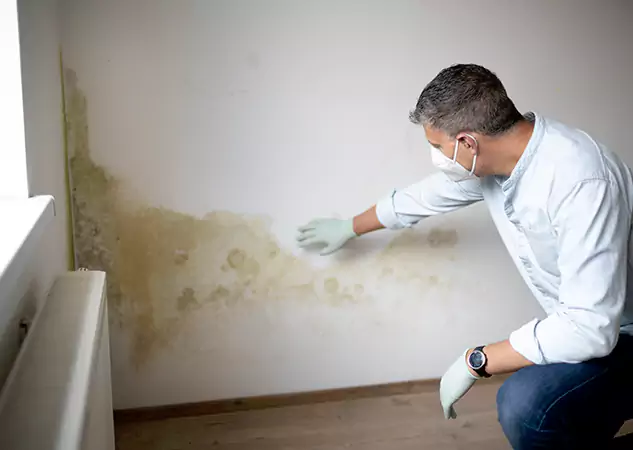Reach Our Remediation Team Before Damage Grows in Dacula, GA!