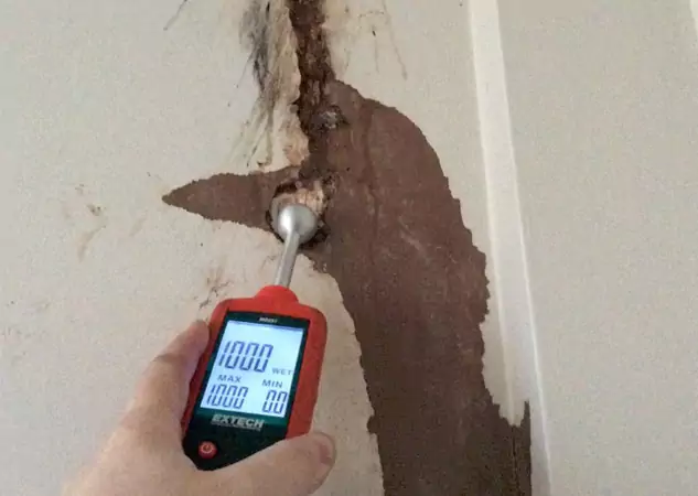 Your Water Damage Assessment Partner in Dacula, GA