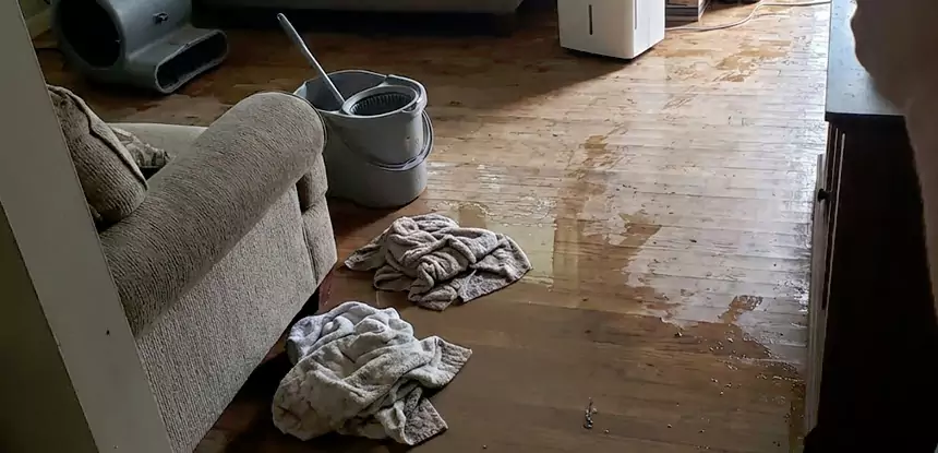Professional Basement Water Remediation Services in Dacula, GA