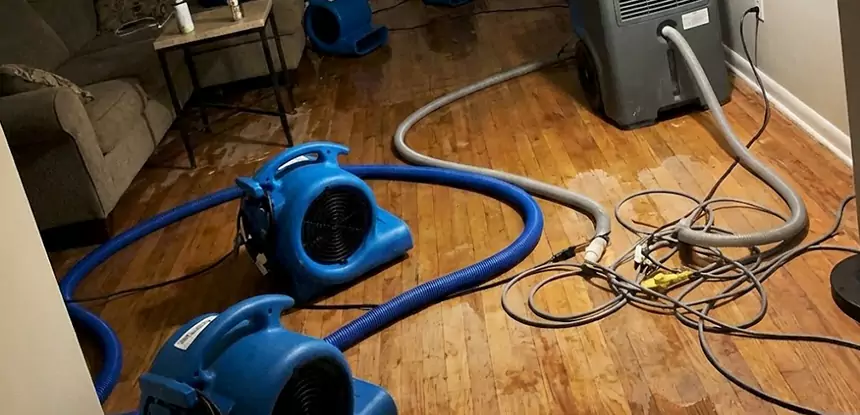 Basement Flood Restoration Services in Dacula