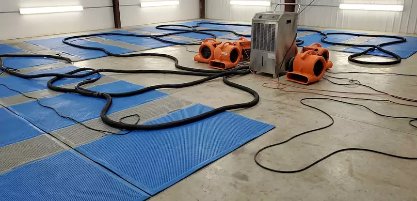 Large-Scale Water Cleanup in Dacula