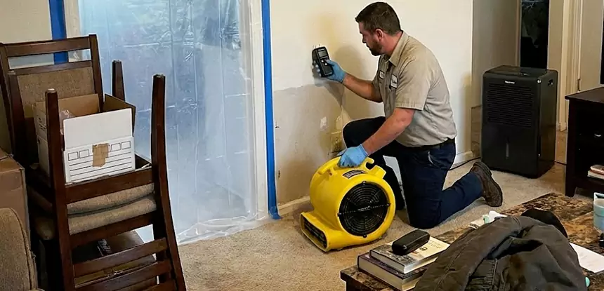 Carpet Water Damage Repair Dacula