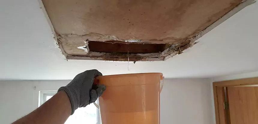 Ceiling Mold Repair Dacula 