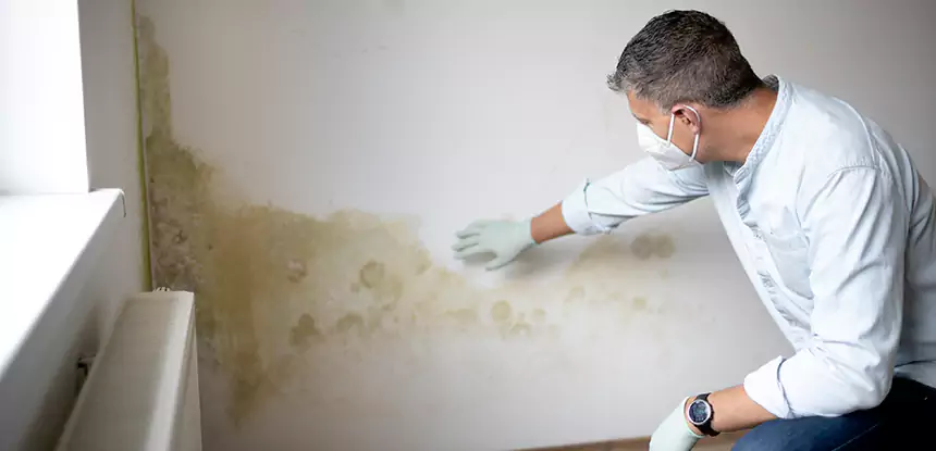 Mold and Water Damage Repair in Dacula