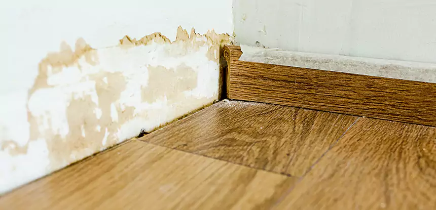 Professional Fix Water Damaged Wood Services in Dacula, GA