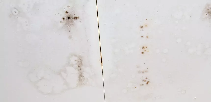 Professional Water Stain Repair Services in Dacula, GA