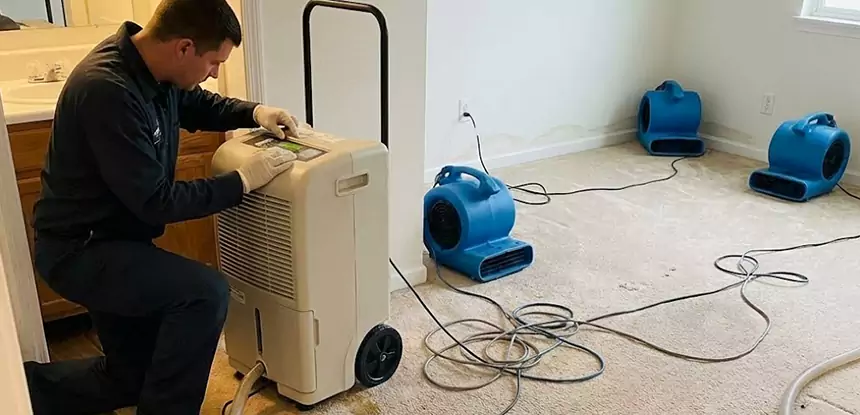 Professional Wet Carpet Removal Services in Dacula, GA