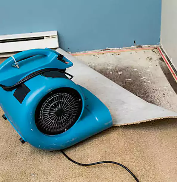 Why Dacula Trusts Dacula Restoration Pro for Carpet Flood Recovery?