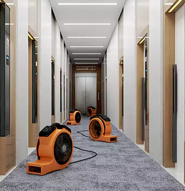 Why Dacula Trusts Dacula Restoration Pro?