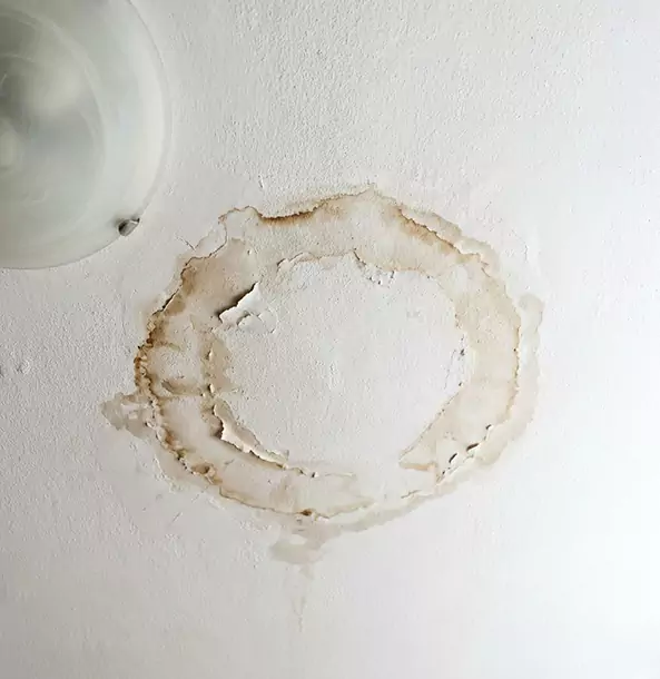 Why Dacula Property Owners Choose Dacula Restoration Pro for Ceiling Water Damage Restoration?