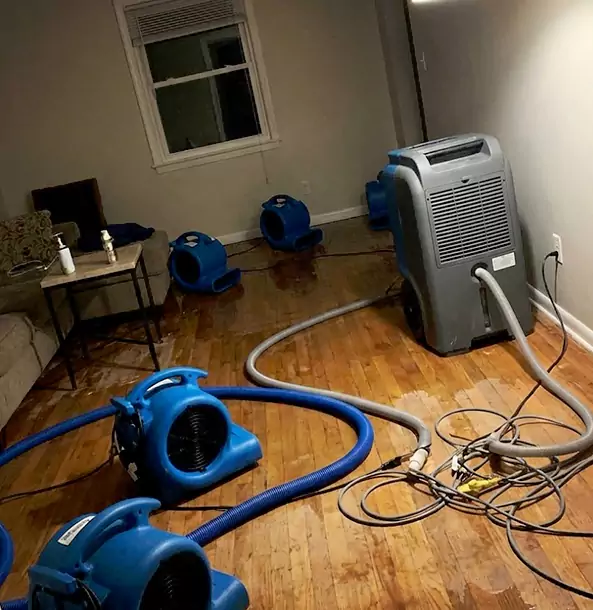 Why Dacula Calls Dacula Restoration Pro First for Emergency Restoration?