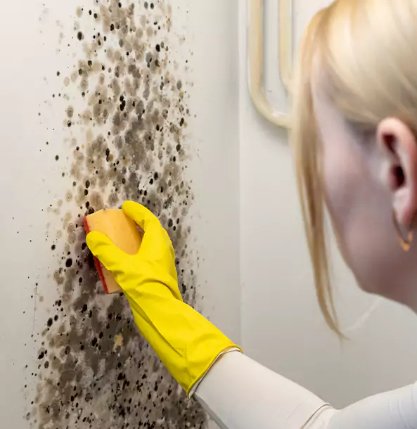 Why Dacula Restoration Pro Leads Mold Remediation in Dacula?