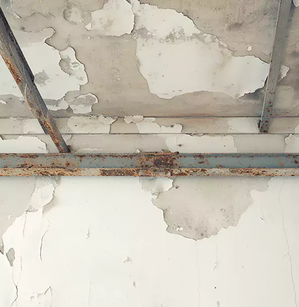 Why Dacula Restoration Pro Is the Right Choice in Dacula, GA?