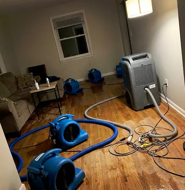 Why Dacula Property Owners Rely on Dacula Restoration Pro for Remediation?