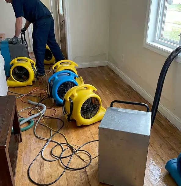 Why Dacula Property Owners Choose Dacula Restoration Pro for Remediation?