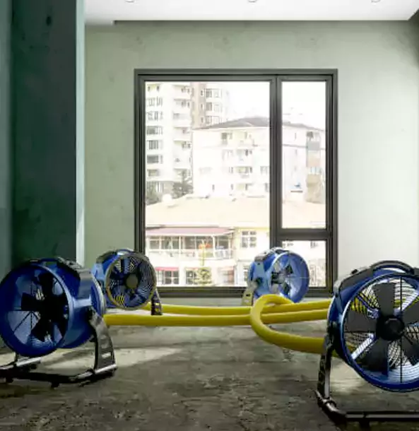 Why Dacula Property Owners Trust Dacula Restoration Pro for Water Damage Drying?