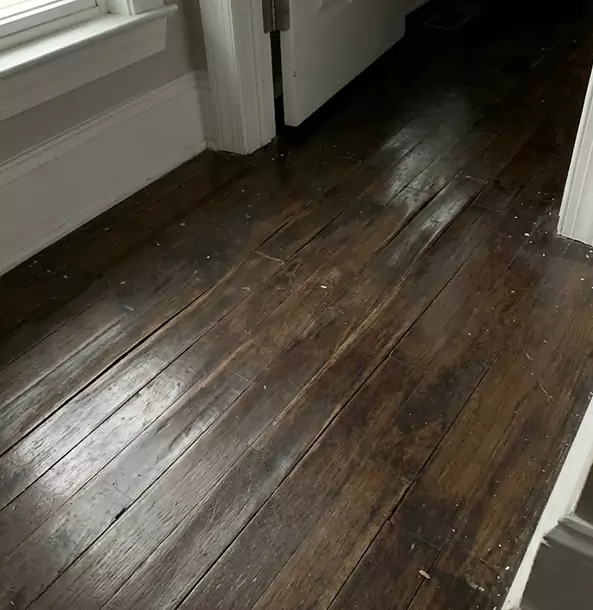 Why Dacula Homeowners Trust Dacula Restoration Pro to Fix Water Damaged Wood?
