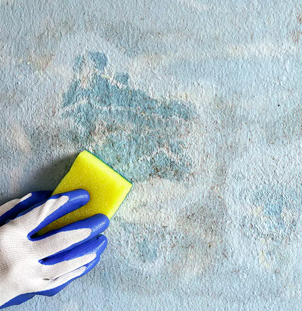 Why Dacula Restoration Pro Is the Right Choice in Dacula, GA?