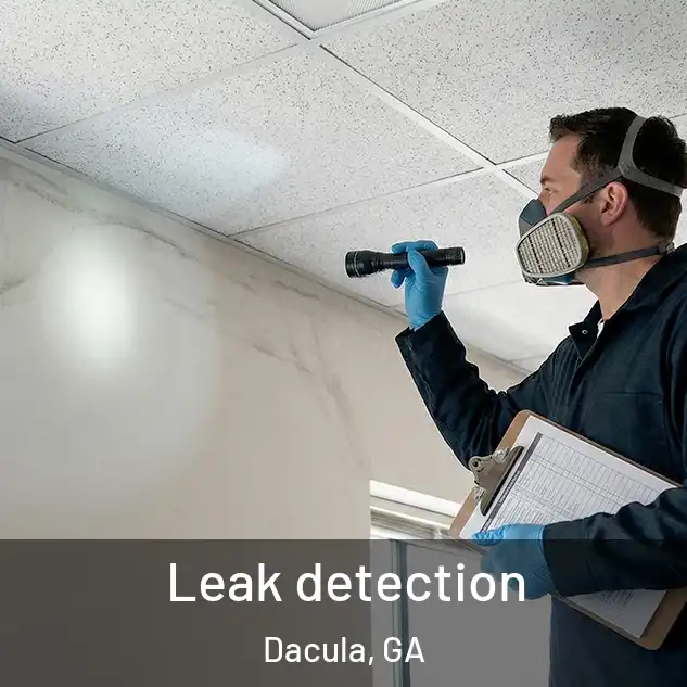  Leak detection Dacula, GA