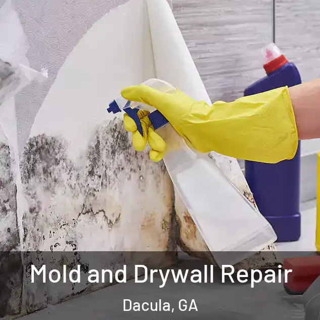  Mold and Drywall Repair Dacula, GA