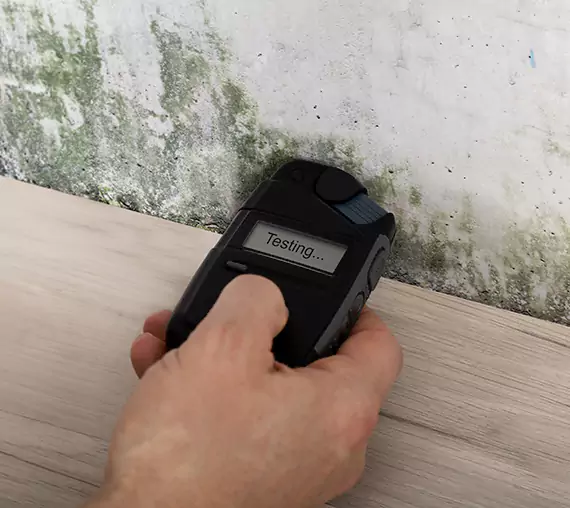 Mold Remediation Service Dacula
