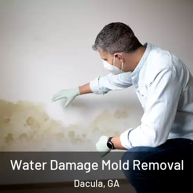  Water Damage Mold Removal Dacula, GA