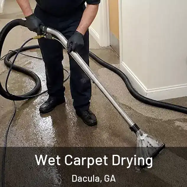  Wet Carpet Drying Dacula, GA